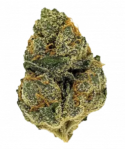 Gas Mask, sert yakıtımsı aroması ve yüksek THC içeriğiyle bilinen Indica baskın bir türdür. Yoğun lezzet profilini ve genetik yapısını keşfedin.