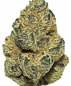 Gas Monkey, sert yakıtımsı aroması ve yüksek THC içeriğiyle öne çıkan Indica baskın bir türdür. Spazmlara karşı potansiyel faydalarını keşfedin ve genetik yapısını görüntüleyin.