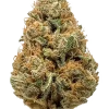 Gas Plant, sert yakıtımsı aroması ve 'e varan THC içeriğiyle bilinen Indica dominant bir türdür. Benzersiz genetik yapısını keşfedin ve etkilerini görüntüleyin.