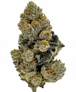 Gas Runtz, tatlı orman meyveleri aroması ve yüksek THC içeriğiyle öne çıkan dengeli bir hibrit türdür. Yaratıcı etkilerini ve genetik yapısını keşfedin.