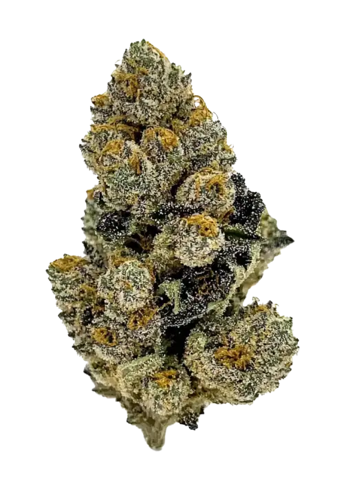 Gas Runtz, tatlı orman meyveleri aroması ve yüksek THC içeriğiyle öne çıkan dengeli bir hibrit türdür. Yaratıcı etkilerini ve genetik yapısını keşfedin.