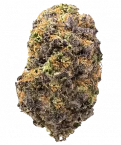 Gas Tax, yakıtımsı aroması ve THC içeriğiyle öne çıkan indica ağırlıklı bir türdür. Rahatlatıcı etkileriyle bilinen bu türü keşfedin ve deneyimlerini görüntüleyin.