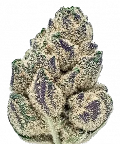 Gas Truffle, üzüm aroması ve yüksek THC içeriğiyle bilinen Indica dominant bir türdür. Derin rahatlama ve uyku için ideal. Özelliklerini keşfedin.