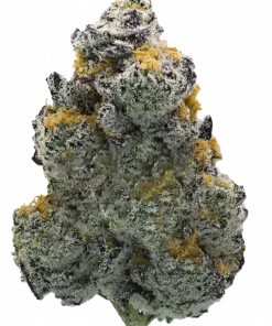 Gasberry, yakıtımsı aroması ve dengeli etkileriyle öne çıkan hibrit bir türdür. THC oranı yüksektir. Genetik yapısını ve potansiyel faydalarını keşfedin.