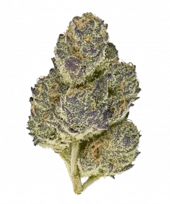 Gel-Air, tatlı turunçgil aromaları ve güçlü Indica etkileriyle bilinen hibrit bir türdür. Uykusuzluk ve stres için ideal. Bu eşsiz türü keşfedin.