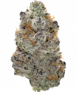 Gelato, tatlı şerbet aroması ve yüksek THC içeriğiyle bilinen Indica dominant bir türdür. Enerji veren ve odak artıran genetik yapısını keşfedin.