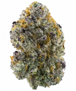 Gelato 41, tatlı vanilya aroması ve 'e varan THC içeriğiyle öne çıkan Sativa dominant bir türdür. Yaratıcılığı ve rahatlamayı keşfedin.