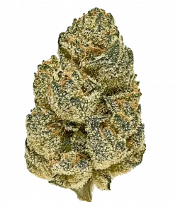 Seedsman Gelato 41 BX Auto, tatlı meyve aromaları ve THC ile öne çıkan Indica dominant bir türdür. Rahatlatıcı etkilerini keşfedin ve hemen görüntüleyin.
