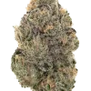 Gelato 44, kremsi vanilya aroması ve 'ye varan THC içeriğiyle bilinen indica dominant bir türdür. Derin rahatlama ve öfori için genetik özelliklerini keşfedin.