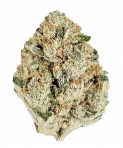 Gelato Cake, vanilya aromalı ve yüksek THC içeren baskın bir Indica türüdür. Rahatlatıcı etkileriyle öne çıkar. Bu özel türü keşfedin.