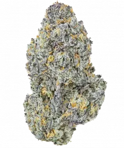 Gelato Mints, vanilya ve sert yakıtımsı notalarıyla öne çıkan güçlü bir hibrit türdür. THC ile ağrı ve stresi hafifletir. Etkilerini keşfedin.