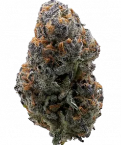 Gelato Punch, tatlı meyve aromaları ve rahatlatıcı etkileriyle bilinen Indica dominant bir türdür. Elev8 Seeds imzalı bu özel türü keşfedin ve özelliklerini görüntüleyin.