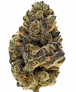 Gelato Put in Pop, kremsi ve meyveli aromasıyla öne çıkan Indica baskın bir türdür. Yüksek THC içeriğiyle rahatlatıcı etkilerini keşfedin ve genetik yapısını görüntüleyin.