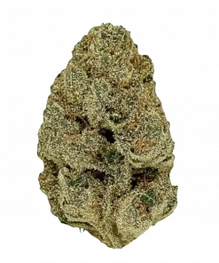 Gelato Runtz, tatlı şeker aroması ve yüksek THC içeriğiyle öne çıkan dengeli bir türdür. Ağrı ve stresi azaltan etkilerini keşfedin. Hemen görüntüleyin.