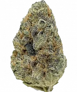 Gelatti, tatlı mentol aroması ve dengeli yapısıyla öne çıkan 50/50 hibrit türüdür. Stresi azaltan rahatlatıcı etkilerini keşfedin ve genetik yapısını görüntüleyin.