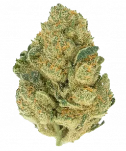 Gelucci, sert yakıtımsı aroması ve yüksek THC içeriğiyle öne çıkan Indica baskın bir türdür. Derin rahatlama ve potansiyel faydalarını keşfedin.