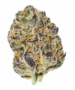 Gemini, tatlı elma aroması ve yüksek THC içeriğiyle bilinen dengeli bir hibrit türdür. Anksiyete ve stresi azaltmaya yardımcı olabilir. Özelliklerini keşfedin.