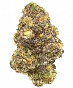 Generation X-18, muz aromaları ve rahatlatıcı etkisiyle öne çıkan Indica baskın bir türdür. Uykusuzluk için ideal. Genetik yapısını keşfedin.