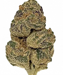 Georgia Peach, şeftali aromalı ve yüksek THC'li Indica baskın bir türdür. Spazm ve stresi azaltıcı etkileriyle bilinir. Özelliklerini keşfedin.