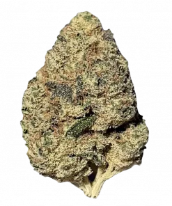 Ghost Rider OG, kimyasal limon aroması ve rahatlatıcı etkisiyle öne çıkan dengeli bir hibrit türdür. Ağrı ve uykusuzluğa iyi gelir. Özelliklerini keşfedin.