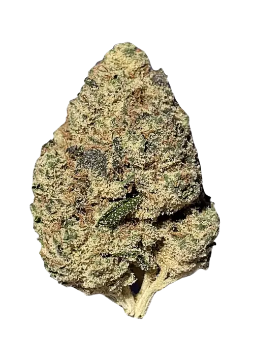 Ghost Rider OG, kimyasal limon aroması ve rahatlatıcı etkisiyle öne çıkan dengeli bir hibrit türdür. Ağrı ve uykusuzluğa iyi gelir. Özelliklerini keşfedin.