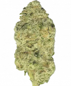 Ginger Tea, zencefil ve baharat aromalarıyla öne çıkan indica dominant bir türdür. Rahatlatıcı etkileriyle bilinen bu hibriti keşfedin ve benzersiz deneyimini yaşayın.