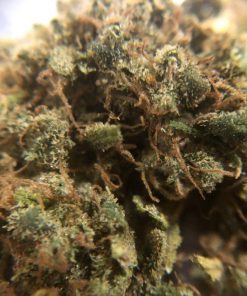 Girl Scout Cookies Feminized Esrar Tohumu (Nirvana)