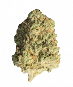 Glazed Pastries, vanilya aroması ve rahatlatıcı etkileriyle bilinen Indica dominant bir türdür. Yüksek verimli bu türün genetik yapısını keşfedin.