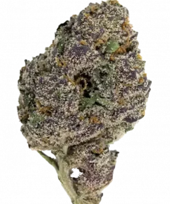 Glitter Bomb, tatlı meyve ve yaban mersini aromalarıyla öne çıkan güçlü bir Indica türüdür. Negatifliği yok eden etkileriyle bilinir. Şimdi keşfedin.