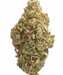 Glookies, tropikal meyve aromaları ve yüksek THC içeriğiyle bilinen Indica dominant bir türdür. Artrit ve anksiyeteye iyi gelir. Özelliklerini keşfedin.