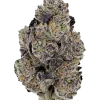 Glowberry Rush, yaban mersini aromalı, THC'li Indica dominant bir türdür. Stres ve ağrı için ideal. Bu eşsiz türün özelliklerini keşfedin.