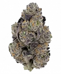 Glowberry Rush, yaban mersini aromalı, THC'li Indica dominant bir türdür. Stres ve ağrı için ideal. Bu eşsiz türün özelliklerini keşfedin.