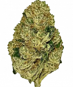 Glowberry Rush Auto, yaban mersini aroması ve THC ile öne çıkan Indica dominant bir türdür. Yoğun rahatlama ve öfori için genetik yapısını keşfedin.