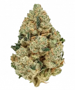 GMO Rootbeer, vanilya aromaları ve THC oranıyla öne çıkan Indica dominant bir türdür. Yoğun etkileriyle bilinen bu türü keşfedin.