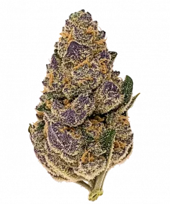 Gobstomper, tatlı meyve aromaları ve rahatlatıcı etkileriyle bilinen Indica baskın bir türdür. Stres ve ağrı için ideal. Genetik yapısını keşfedin.