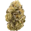 God’s Gift Hash Plant x Coffin Candy, sert yakıtımsı aroması ve yüksek THC içeriğiyle öne çıkan Indica dominant bir türdür. Benzersiz etkilerini keşfedin.