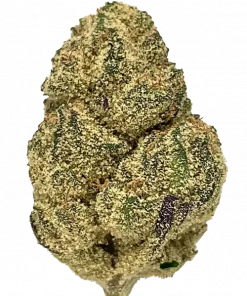 God’s Breath, sert yakıtımsı aroması ve THC içeriğiyle öne çıkan Indica baskın bir türdür. Uykusuzluk ve stresi azaltan etkilerini keşfedin.