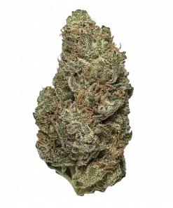 God's Gift, kimyasal limon aroması ve yüksek THC içeriğiyle bilinen Indica dominant bir türdür. Ağrı kesici özelliğiyle öne çıkar. Özelliklerini keşfedin.