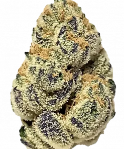 Goji OG, taze meyve aromaları ve THC oranıyla öne çıkan Sativa baskın bir türdür. Dengeli etkilerini ve tıbbi faydalarını keşfedin.