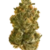 Gold Leaf, yakıtımsı ve baharatlı aromalarıyla öne çıkan Indica baskın bir türdür. Rahatlatıcı etkileriyle bilinen bu türün genetik yapısını keşfedin.