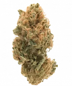 Golden Strawcherry, tatlı çilek aroması ve dengeli etkileriyle öne çıkan bir hibrit türdür. Yaratıcılığı artıran bu türün genetik yapısını keşfedin.