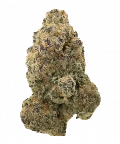 Goofiez 2, tatlı meyve aromaları ve yüksek THC içeriğiyle öne çıkan Indica baskın bir türdür. Yoğun etkilerini ve genetik yapısını keşfedin.