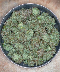 Gorilla Auto Fem Esrar Tohumu (Fast Buds)