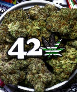 Gorilla Auto Fem Esrar Tohumu (Fast Buds)