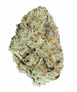 Gorilla Breath, yakıtımsı aroması ve yüksek THC içeriğiyle öne çıkan indica dominant bir türdür. Yoğun rahatlama ve mutluluk için genetik özelliklerini keşfedin.