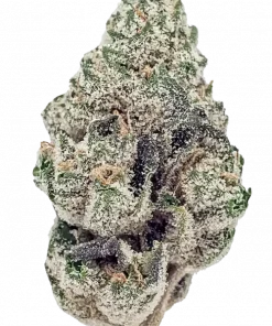 Gorilla Cake, toprak tonları ve yüksek THC içeriğiyle bilinen baskın bir Indica türüdür. Derin rahatlama ve mutluluk için genetik yapısını keşfedin.