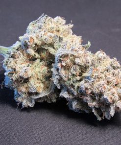 Gorilla Cookies Auto Fem Esrar Tohumu (Fast Buds)