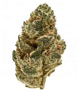 Gorilla Girl, narenciye ve dizel aromalarıyla öne çıkan Sativa baskın bir türdür. Yüksek THC içeriğiyle benzersiz etkilerini keşfedin ve detaylıca görüntüleyin.