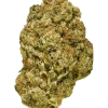 Gorilla Haze, yakıtımsı aroması ve yüksek THC içeriğiyle bilinen sativa baskın bir türdür. Amnesia Haze genetiğiyle enerji veren bu türü keşfedin.