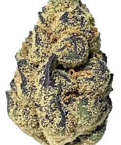 Gorilla Pie, üzüm aromaları ve yüksek THC içeriğiyle öne çıkan dengeli bir hibrit türdür. Etkilerini ve potansiyel faydalarını keşfedin.